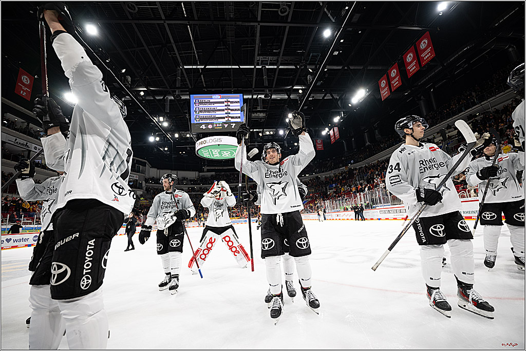 PENNY DEL 1; Düsseldorfer EG - Kölner Haie; Düsseldorf, 24.01.2025